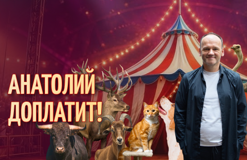 Анатолий доплатит! Цирк-шапито "13 метров" за 20р в Бресте